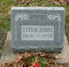 Filename=JohnLydia.jpg
Filesize=149KiB
Dimensions=576x570
Date added=Nov 19, 2008 JohnLydia.jpg