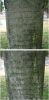 Filename=KrumreyJohnTheobald.jpg
Filesize=185KiB
Dimensions=576x1158
Date added=Nov 19, 2008 KrumreyJohnTheobald.jpg