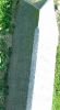 Filename=MaryAMooreneeWilson.jpg
Filesize=153KiB
Dimensions=576x1042
Date added=Oct 28, 2008 MaryAMooreneeWilson.jpg