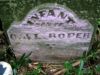 Filename=RoperInfant.jpg
Filesize=59KiB
Dimensions=576x433
Date added=Nov 07, 2008 RoperInfant.jpg