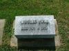 Filename=VogtCharles.jpg
Filesize=108KiB
Dimensions=576x432
Date added=Nov 03, 2008 VogtCharles.jpg