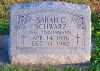 Filename=Schwarz_Sarah_C_1982.jpg
Filesize=424KiB
Dimensions=674x480
Date added=Nov 04, 2008 Schwarz_Sarah_C_1982.jpg