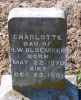 Filename=Bloemker__Charlotte_1881.jpg
Filesize=697KiB
Dimensions=676x825
Date added=Feb 18, 2009 Bloemker__Charlotte_1881.jpg