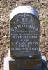 Filename=Burhorn__Carolina_1886.jpg
Filesize=522KiB
Dimensions=550x793
Date added=Feb 18, 2009 Burhorn__Carolina_1886.jpg