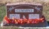 Filename=Cummins,_Robert_P_2006.jpg
Filesize=79KiB
Dimensions=600x357
Date added=Dec 19, 2008 Cummins,_Robert_P_2006.jpg