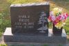 Filename=Fields_Mark_R_1983.jpg
Filesize=67KiB
Dimensions=600x405
Date added=Nov 08, 2008 Fields_Mark_R_1983.jpg