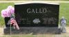 Filename=Gallo,_James_G_and_Genevieve_A__nee_Gerstner.jpg
Filesize=427KiB
Dimensions=2048x1108
Date added=May 18, 2013 Gallo,_James_G_and_Genevieve_A__nee_Gerstner.jpg