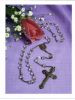Filename=MAUE,_Veronica_C__Vera_____front.jpg
Filesize=673KiB
Dimensions=847x1117
Date added=Jan 13, 2015 MAUE,_Veronica_C__Vera_____front.jpg
