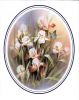 Filename=ROWEKAMP,_Mary_E__front.jpg
Filesize=572KiB
Dimensions=860x1079
Date added=Jan 24, 2015 ROWEKAMP,_Mary_E__front.jpg