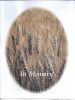 Filename=Ratermann,_Henry_E_front.jpg
Filesize=845KiB
Dimensions=849x1118
Date added=Feb 21, 2016 Ratermann,_Henry_E_front.jpg