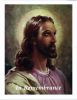 Filename=SCHULTE,_Lawrence_T__front.jpg
Filesize=653KiB
Dimensions=853x1104
Date added=Jan 31, 2015 SCHULTE,_Lawrence_T__front.jpg