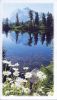 Filename=STRAKE,_James_B_front.jpg
Filesize=477KiB
Dimensions=490x845
Date added=Sep 29, 2014 STRAKE,_James_B_front.jpg