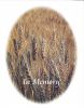 Filename=STRIEKER,_Alphonse_H__front.jpg
Filesize=847KiB
Dimensions=844x1073
Date added=Jan 25, 2015 STRIEKER,_Alphonse_H__front.jpg