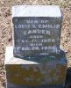 Filename=Sander,_son_of_Louis_and_Emilie_1896.jpg
Filesize=72KiB
Dimensions=405x500
Date added=Feb 19, 2009 Sander,_son_of_Louis_and_Emilie_1896.jpg