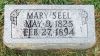 Filename=Seel,_Mary.jpg
Filesize=247KiB
Dimensions=1296x738
Date added=Aug 14, 2010 Seel,_Mary.jpg