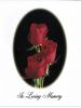 Filename=WOLTERS,_Verneida_M__front.jpg
Filesize=366KiB
Dimensions=840x1117
Date added=Jan 25, 2015 WOLTERS,_Verneida_M__front.jpg