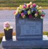 Filename=Wade_Connie_S_1988.jpg
Filesize=54KiB
Dimensions=600x610
Date added=Nov 10, 2008 Wade_Connie_S_1988.jpg