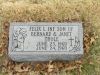 Filename=St_Bernard_282.JPG
Filesize=158KiB
Dimensions=576x432
Date added=Mar 22, 2011 St_Bernard_282.JPG