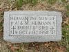 Filename=St_Bernard_373.JPG
Filesize=134KiB
Dimensions=576x432
Date added=Mar 23, 2011 St_Bernard_373.JPG