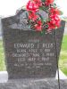 Filename=St_Bernard_476.JPG
Filesize=78KiB
Dimensions=303x404
Date added=Mar 23, 2011 St_Bernard_476.JPG