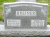 Filename=St_Bernard_625.JPG
Filesize=79KiB
Dimensions=479x359
Date added=Mar 23, 2011 St_Bernard_625.JPG