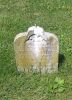 Filename=St__Rose_Cemetery_593~0.jpg
Filesize=279KiB
Dimensions=461x640
Date added=Jun 16, 2009 St__Rose_Cemetery_593~0.jpg