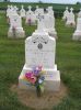 Filename=St__Rose_New_Section_080.JPG
Filesize=197KiB
Dimensions=800x1067
Date added=Sep 05, 2009 St__Rose_New_Section_080.JPG