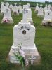 Filename=St__Rose_New_Section_092.JPG
Filesize=196KiB
Dimensions=800x1067
Date added=Sep 05, 2009 St__Rose_New_Section_092.JPG