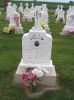 Filename=St__Rose_New_Section_094.JPG
Filesize=193KiB
Dimensions=800x1067
Date added=Sep 05, 2009 St__Rose_New_Section_094.JPG