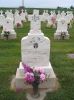 Filename=St__Rose_New_Section_102.JPG
Filesize=186KiB
Dimensions=800x1067
Date added=Sep 05, 2009 St__Rose_New_Section_102.JPG