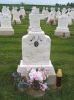 Filename=St__Rose_New_Section_111.JPG
Filesize=184KiB
Dimensions=800x1067
Date added=Sep 05, 2009 St__Rose_New_Section_111.JPG