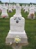 Filename=St__Rose_New_Section_147.JPG
Filesize=184KiB
Dimensions=800x1067
Date added=Sep 05, 2009 St__Rose_New_Section_147.JPG