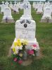 Filename=St__Rose_New_Section_155.JPG
Filesize=209KiB
Dimensions=800x1067
Date added=Sep 05, 2009 St__Rose_New_Section_155.JPG