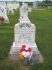 Filename=St__Rose_New_Section_178.JPG
Filesize=199KiB
Dimensions=800x1067
Date added=Sep 06, 2009 St__Rose_New_Section_178.JPG