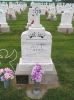 Filename=St__Rose_New_Section_182~0.JPG
Filesize=197KiB
Dimensions=800x1067
Date added=Sep 06, 2009 St__Rose_New_Section_182~0.JPG