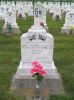 Filename=St__Rose_New_Section_191.JPG
Filesize=199KiB
Dimensions=800x1067
Date added=Sep 06, 2009 St__Rose_New_Section_191.JPG