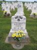 Filename=St__Rose_New_Section_199.JPG
Filesize=209KiB
Dimensions=800x1067
Date added=Sep 06, 2009 St__Rose_New_Section_199.JPG