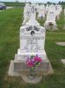Filename=St__Rose_New_Section_203.JPG
Filesize=200KiB
Dimensions=800x1067
Date added=Sep 06, 2009 St__Rose_New_Section_203.JPG