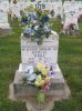 Filename=St__Rose_New_Section_216.JPG
Filesize=216KiB
Dimensions=800x1067
Date added=Sep 06, 2009 St__Rose_New_Section_216.JPG