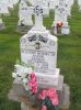 Filename=St__Rose_New_Section_225.JPG
Filesize=200KiB
Dimensions=800x1067
Date added=Sep 06, 2009 St__Rose_New_Section_225.JPG