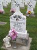 Filename=St__Rose_New_Section_240.JPG
Filesize=198KiB
Dimensions=800x1067
Date added=Sep 06, 2009 St__Rose_New_Section_240.JPG