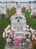 Filename=St__Rose_New_Section_244.JPG
Filesize=207KiB
Dimensions=800x1067
Date added=Sep 06, 2009 St__Rose_New_Section_244.JPG