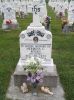 Filename=St__Rose_New_Section_250.JPG
Filesize=212KiB
Dimensions=800x1067
Date added=Sep 06, 2009 St__Rose_New_Section_250.JPG