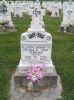 Filename=St__Rose_New_Section_251.JPG
Filesize=207KiB
Dimensions=800x1067
Date added=Sep 06, 2009 St__Rose_New_Section_251.JPG