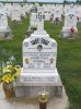 Filename=St__Rose_New_Section_252.JPG
Filesize=202KiB
Dimensions=800x1067
Date added=Sep 06, 2009 St__Rose_New_Section_252.JPG