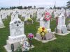 Filename=St__Rose_New_Section_315.JPG
Filesize=136KiB
Dimensions=800x600
Date added=Sep 06, 2009 St__Rose_New_Section_315.JPG