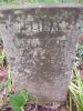 Filename=Louisa_CARTER_(Died__21_Jul_1856)_Wife_of_James_M_.JPG
Filesize=174KiB
Dimensions=600x800
Date added=Oct 26, 2009 Louisa_CARTER_(Died__21_Jul_1856)_Wife_of_James_M_.JPG