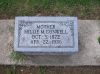 Filename=Conwell,_Millie_M_(Lamb).JPG
Filesize=894KiB
Dimensions=2048x1533
Date added=May 05, 2012 Conwell,_Millie_M_(Lamb).JPG