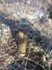 Filename=Round_base.JPG
Filesize=984KiB
Dimensions=1533x2048
Date added=Feb 24, 2013 Round_base.JPG