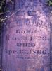 Filename=Woods,_Thomas.JPG
Filesize=640KiB
Dimensions=1529x2048
Date added=Mar 18, 2012 Woods,_Thomas.JPG